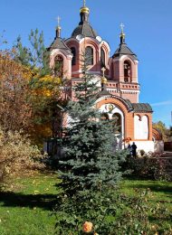 Церковь Знамения усадьбы Ховрино («Грачевка»), 1868-70