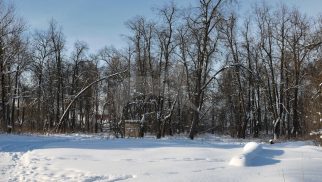 Парк с прудом, усадьба «Полтево»