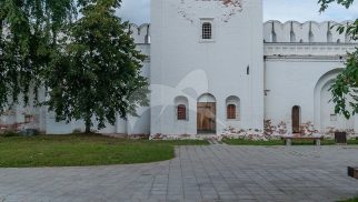 Башня Царицынская, ансамбль Новодевичьего монастыря
