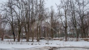 Парк с липовыми аллеями, усадьба «Тимохово», XIX в.